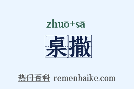 桌撒是什么意思的图片